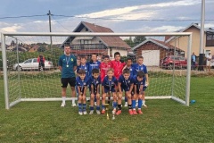 os-gnk-dinamo