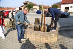 bedekovcina12