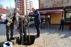 bedekovcina13