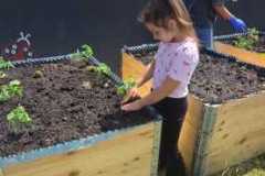IMG-20251111-WA0014