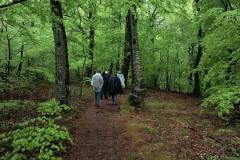 Studijska-putovanja-novinara-1