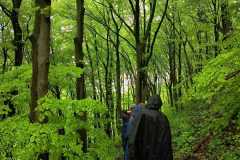 Studijska-putovanja-novinara-15