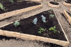 diseci-vrt-zagorje-zeleno-4