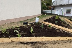 diseci-vrt-zagorje-zeleno-5