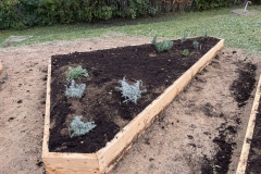 diseci-vrt-zagorje-zeleno-6