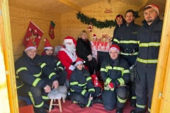 Konjscina-kicenje-borova