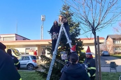 Konjscina-kicenje-borova2