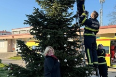 Konjscina-kicenje-borova3