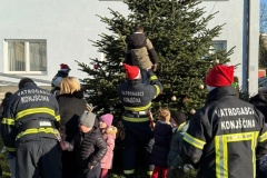 Konjscina-kicenje-borova5