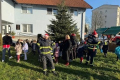 Konjscina-kicenje-borova6