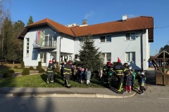 Konjscina-kicenje-borova7