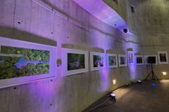 viber_slika_2025-09-12_18-46-16-244