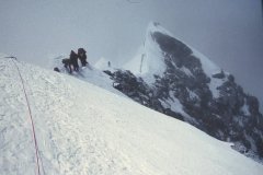 04d725f8-0cfe-4fa6-b7b9-e196277e26b6