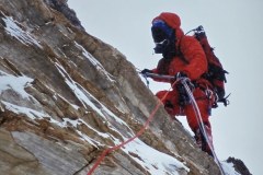 31b4ce55-1e73-4eff-a668-a724fbfa9dec