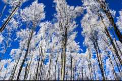 a6fb0fbb-a0b3-400d-a231-49ead02bf729