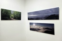 eb1b4b33-b438-474f-8b82-aaf27466691e