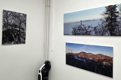 f0ef5118-f0c1-43b9-800d-2a1766999418