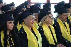 IMG_9550-Copy