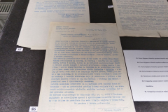 viber_slika_2024-12-13_12-00-54-537