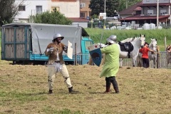 sajam-pri-starom-gradu-13