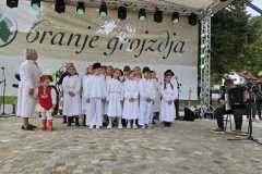 42-–-kopija