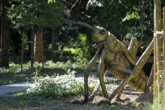 Arboretum_Opeka_obilazak-29