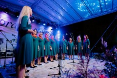 Festival-vinskih-popevki-i-napitnica-small-057