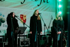 Festival-vinskih-popevki-i-napitnica-small-082