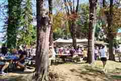 viber_slika_2025-08-24_12-29-25-111