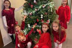 viber_slika_2025-12-07_22-03-21-778