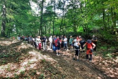 gradina_podk11_WA0045_900_700_withoutgrow