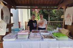 IMG-4c742a287664fd31d1341da614df2f7d-V