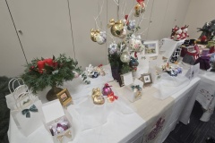 Opcina-Stubicke-Toplice-8