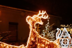 604647833_1293997962771972_4744780575337356073_n