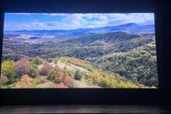 580138222_10237550521758260_4872375743092559476_n