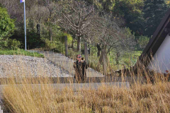 IMG-7a6fd72d19d6b94e95a039e8dff552d2-V