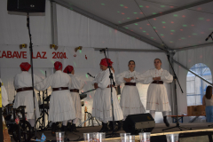 dani-folklora-i-zabave-18