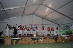 velika-horvatska-dani-kulture-zabave-i-sporta-24