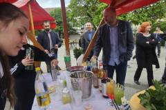 IMG-62842c72c2453cec4fb4066e85c15775-V
