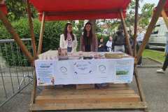 IMG-855430a3997df94cfa68246d6b249afb-V