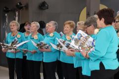IMG_1511-Copy