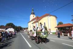 Zeljarijada_2026_14