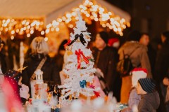 601380850_1310616984429487_3824839422592689221_n