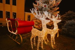 603903495_1310616601096192_6184932380830531627_n