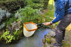 naj_skolski_vrtovi_nagrada_prva_privatna_gimnazija_vz_2026-4