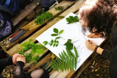 naj_skolski_vrtovi_nagrada_prva_privatna_gimnazija_vz_2026-5