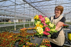 Poticaji_poljoprivreda-2