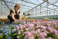 Poticaji_poljoprivreda-5