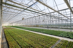 Poticaji_poljoprivreda-8