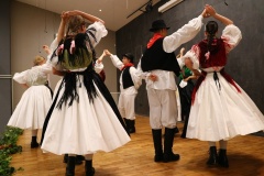 lobor-vecer-folklora-17